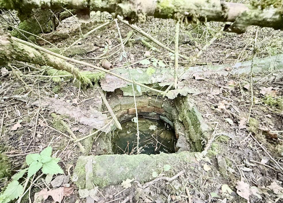 The historic well at Coldharbour, one of the few remnants of the abandoned settlement