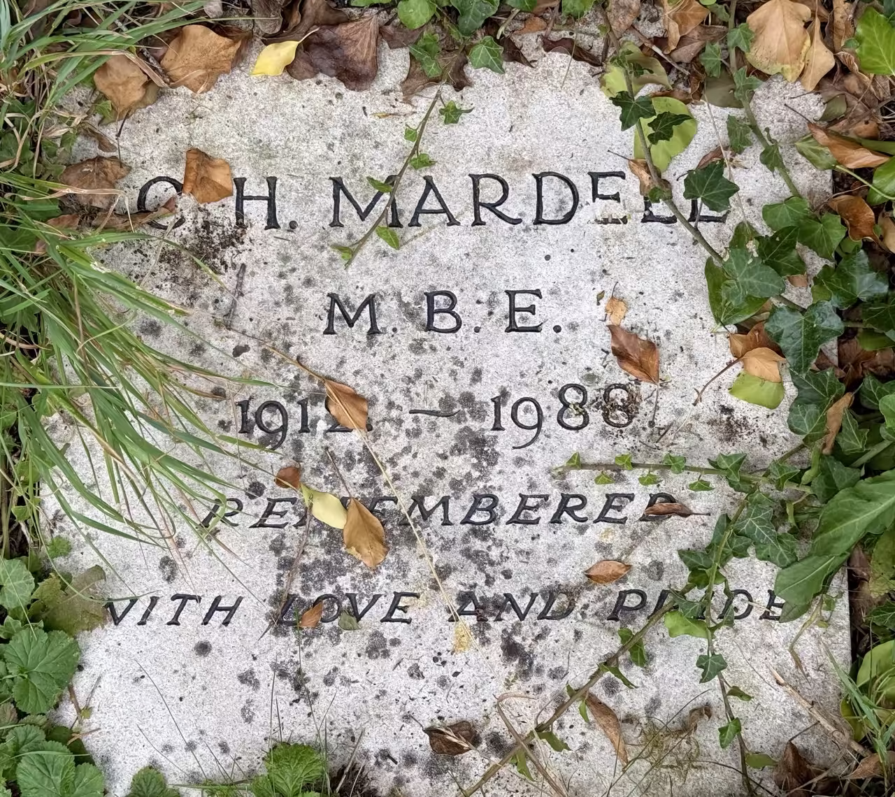 Plaque